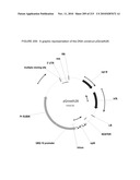 PLANT CELL SIGNALING GENES diagram and image