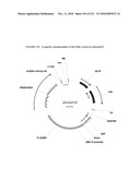 PLANT CELL SIGNALING GENES diagram and image