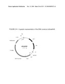 PLANT CELL SIGNALING GENES diagram and image