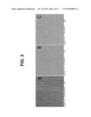 SYSTEM AND METHOD FOR CHARACTERIZING MEMBRANES AND MEMBRANE FILTRATION DEVICES diagram and image