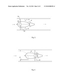 Arrangement and Method for Determining the Position of an Animal diagram and image