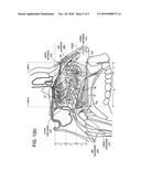 NASAL ADMINISTRATION diagram and image