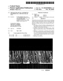 THIN-FILM SOLAR CELL AND PROCESS FOR PRODUCING A THIN-FILM SOLAR CELL diagram and image