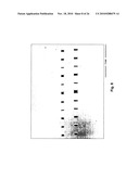 Metal-Based Microchannel Heat Exchangers Made by Molding Replication and Assembly diagram and image