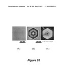 HIGH LIGHT EXTRACTION EFFICIENCY LIGHT EMITTING DIODE (LED) THROUGH MULTIPLE EXTRACTORS diagram and image