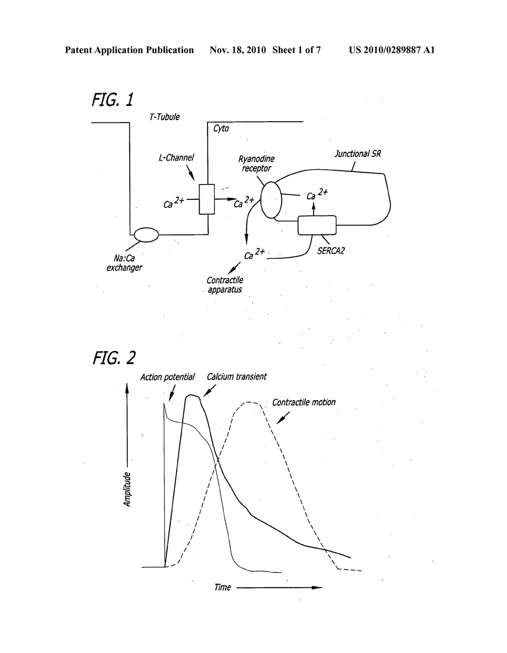 Automated transient image cytometry - diagram, schematic, and image 02