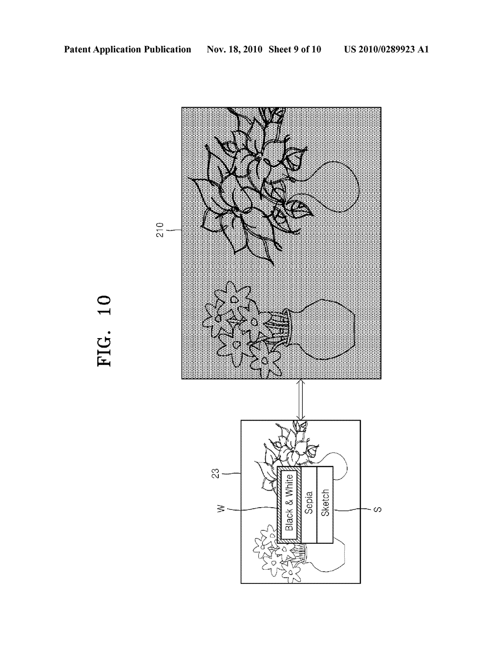MULTI-DISPLAY DIGITAL IMAGE PROCESSING APPARATUS USING EXTERNAL DISPLAY APPARATUS, METHOD OF OPERATING THE DIGITAL IMAGE PROCESSING APPARATUS, AND COMPUTER READABLE RECORDING MEDIUM HAVING RECORDED THEREON PROGRAM FOR EXECUTING THE METHOD - diagram, schematic, and image 10