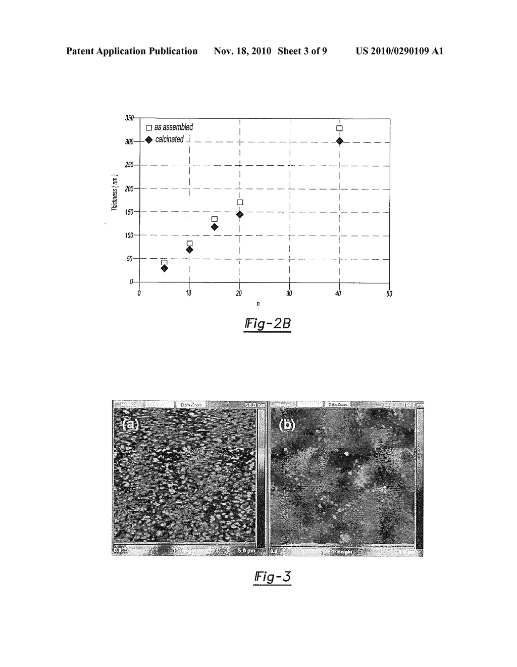 UV-REFLECTIVE STRUCTURAL COLOR - diagram, schematic, and image 04