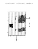 PULSE STIMULATION GENERATION METHOD diagram and image