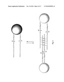 NANOPARTICLE NUCLEIC ACID BINDING COMPOUND CONJUGATES FORMING I-MOTIFS diagram and image