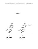 NANOPARTICLE NUCLEIC ACID BINDING COMPOUND CONJUGATES FORMING I-MOTIFS diagram and image