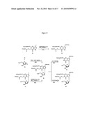 NANOPARTICLE NUCLEIC ACID BINDING COMPOUND CONJUGATES FORMING I-MOTIFS diagram and image