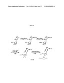 NANOPARTICLE NUCLEIC ACID BINDING COMPOUND CONJUGATES FORMING I-MOTIFS diagram and image