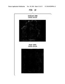 METHODS AND COMPOSITIONS BASED ON CULTURING MICROORGANISMS IN LOW SEDIMENTAL FLUID SHEAR CONDITIONS diagram and image