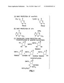 COMPOSITIONS AND METHODS FOR THE IDENTIFICATION OF INHIBITORS OF RETROVIRAL INFECTION diagram and image