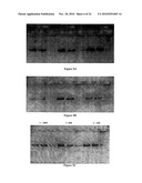 Compositions for Protein Delivery and Methods of Use Thereof diagram and image