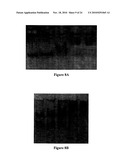 Compositions for Protein Delivery and Methods of Use Thereof diagram and image