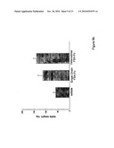 Heterodimeric Follicle Stimulating Hormone-Fc (FSH-Fc) Fusion Proteins for the Treatment of Infertility diagram and image