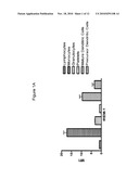 ANTIBODIES TO IREM-1 diagram and image