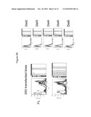 ANTIBODIES TO IREM-1 diagram and image