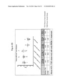 ANTIBODIES TO IREM-1 diagram and image