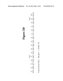 Norovirus and sapovirus antigens diagram and image