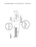 Norovirus and sapovirus antigens diagram and image