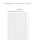 Norovirus and sapovirus antigens diagram and image