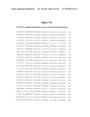 Norovirus and sapovirus antigens diagram and image