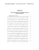 Norovirus and sapovirus antigens diagram and image