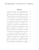 Norovirus and sapovirus antigens diagram and image