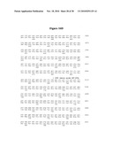 Norovirus and sapovirus antigens diagram and image