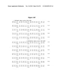 Norovirus and sapovirus antigens diagram and image