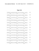 Norovirus and sapovirus antigens diagram and image