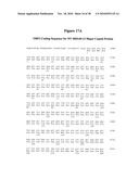 Norovirus and sapovirus antigens diagram and image