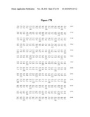 Norovirus and sapovirus antigens diagram and image