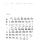 RECOMBINANT PROTEIN CONTAINING A C-TERMINAL FRAGMENT OF PLASMODIUM MSP-1 diagram and image