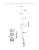 RECOMBINANT PROTEIN CONTAINING A C-TERMINAL FRAGMENT OF PLASMODIUM MSP-1 diagram and image