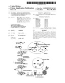 Bacterial Artificial Chromosome Containing Feline Herpes Virus Type 1 Genome and Uses Thereof diagram and image