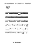 Bacterial Artificial Chromosome Containing Feline Herpes Virus Type 1 Genome and Uses Thereof diagram and image