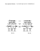 Bacterial Artificial Chromosome Containing Feline Herpes Virus Type 1 Genome and Uses Thereof diagram and image