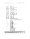 Bacterial Artificial Chromosome Containing Feline Herpes Virus Type 1 Genome and Uses Thereof diagram and image