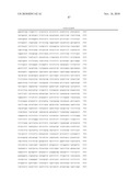 Bacterial Artificial Chromosome Containing Feline Herpes Virus Type 1 Genome and Uses Thereof diagram and image