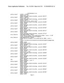 Bacterial Artificial Chromosome Containing Feline Herpes Virus Type 1 Genome and Uses Thereof diagram and image