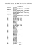 Bacterial Artificial Chromosome Containing Feline Herpes Virus Type 1 Genome and Uses Thereof diagram and image