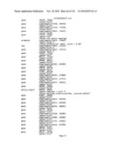 Bacterial Artificial Chromosome Containing Feline Herpes Virus Type 1 Genome and Uses Thereof diagram and image