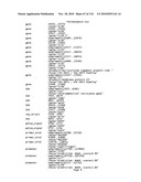 Bacterial Artificial Chromosome Containing Feline Herpes Virus Type 1 Genome and Uses Thereof diagram and image