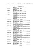 Bacterial Artificial Chromosome Containing Feline Herpes Virus Type 1 Genome and Uses Thereof diagram and image