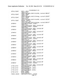 Bacterial Artificial Chromosome Containing Feline Herpes Virus Type 1 Genome and Uses Thereof diagram and image