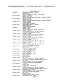 Bacterial Artificial Chromosome Containing Feline Herpes Virus Type 1 Genome and Uses Thereof diagram and image